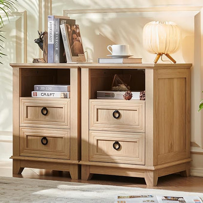 Joaxswe 18" Farmhouse Night Stands Set of 2 by Joaxswe