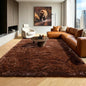 Brown 6x9 Area Rugs for Living Room Bedroom, Large Fluffy Bedside Throw Rug by ONASAR