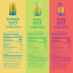 Sparkling Yerba Mate Variety Pack by Tama Tea - Unsweetened Natural Energy Drink with Real Fruit & Herbs - Healthy Caffeine Drink Alternative - 120mg of Caffeine, 10 Calories - 12oz Pack of 12
