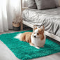 OLANLY 2x3 Machine Washable Small Bedside Rug, Soft Fluffy Shaggy Entryway by OLANLY