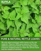 Olvvla - Premium Nettle Leaf Tea - 1.5g X 60 Count - 100% Pure Natural Stinging Nettle Tea Bag - Caffeine-free - Non-GMO - Rich in Antioxidants & Support Bone Health