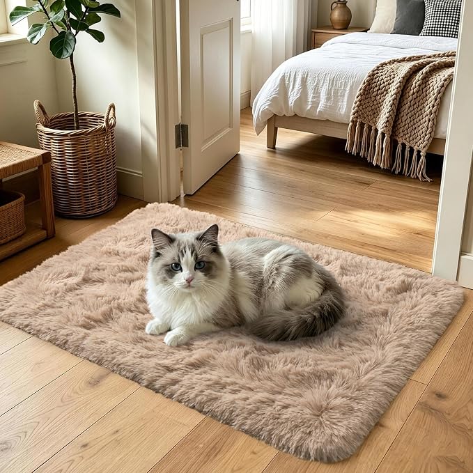 Noahas 2x4 Beige Fluffy Soft Runner Rug Non-Slip - Image 2