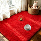 LOCHAS 2x3 Area Rugs Fluffy Living Room Carpets by LOCHAS