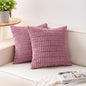 Aegero Pack of 2 Corduroy Decorative Throw Pillow Covers 22x22 Inch by Unknown