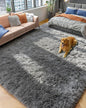 Fluffy Grey Rug for Bedroom 4x6, Modern Area Rugs for Kids Room Living Room | by PAGISOFE