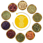 FunctionaliQi Flush Herbal Tea for Urinary Health - Marshmallow Root Milk Thistle Cornsilk and Goldenseal, Hibiscus Blend with Nettles, Cleansing Herbs and Cranberries (14 tea bags)