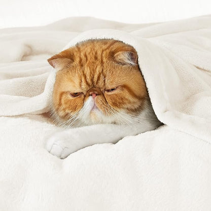 Bedsure GentleSoft Fleece Throw XL Blanket Cream - Image 2