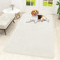 OLANLY Dog Door Mat for Muddy Paws 59x32, Super Absorbent Chenille Mud Mat | by OLANLY
