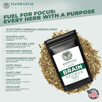 Elephantal Wellness Premium Brain Herbal Tea | Nootropic Focus & Mental Clarity with Ginkgo, Bacopa, Gotu Kola & Rosemary | Non-GMO, Caffeine-Free Coffee Alternative, Handmade Loose Leaf Blend, 2oz Loose Leaf, 20 Servings