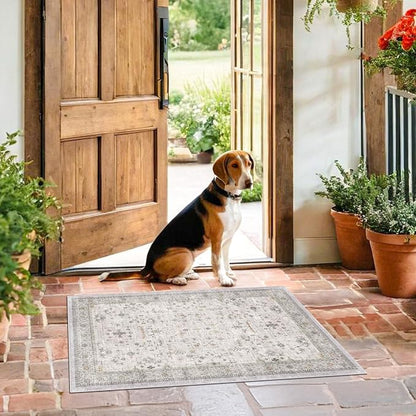 Washable 2x3 Throw Rugs for Entryway, Front Door Mat, Low Pile Non-Slip Small - Image 6