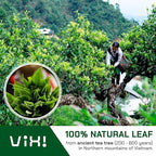 VIXI Green Oolong Tea Loose Leaf, 16.00 Oz, Vietnam's Mountain Tea, Caffeinated, Dried Whole Full Large Leaves, 100% Natural from Ancient Tea Tree, Perfect for Hot and Cold Brew