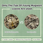 HANFANGLING Mugwort Tea, Natural Herbal Tea, Refreshing, Made from Premium Natural Mugwort Buds, Gift Tea (Loose Leaf)