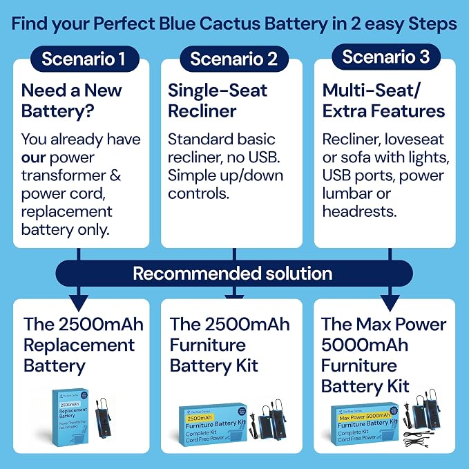 Blue Cactus 2500mAh Rechargeable Battery Pack - Image 3