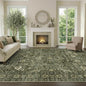 9x12 Ft Extra Large Area Rugs for Living Room, Soft Non-Slip Machine Washable by Lo%CC%80utiRootHome