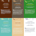 Creano Organic Tea Gift Set – 24 Organic Tea Bags in 6 Dreamy Varieties – 48 g*