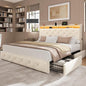 LARMACE Queen Size Bed Frame by LARMACE