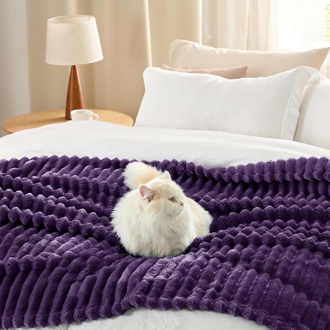 Bedsure Soft Queen Size Blanket - Image 7