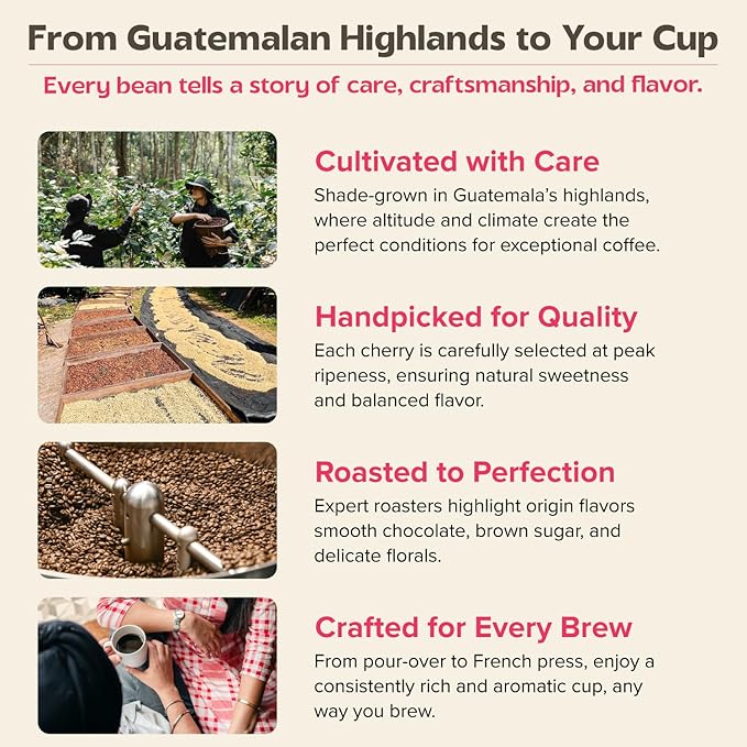Uncharted Coffee 1850 Guatemala Whole Bean – Organic Single-Origin Medium Roast, Direct Trade, Balanced Flavor with Cocoa & Citrus Notes, Fresh Roasted, 9 oz Bag
