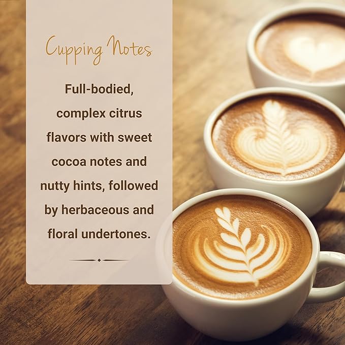 Espresso Coffee, Single Serve Coffee Pods, Premium Espresso Blend Fresh Roasted Coffee | K-Cup Compatible Brewers | Cubico Coffee | 10 Count