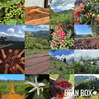 Brazil Familia Schiavo - Roasted by Huckleberry Roasters - Whole Bean Coffee - 12 Ounce Bag