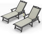 LUE BONA Chaise Lounge Chair Outdoor Set of 2, HDPS and HDPE Wicker Material by LUEBONA