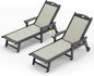 LUE BONA Chaise Lounge Chair Outdoor, HDPS and HDPE Wicker Material, Patio by LUEBONA