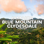 Jamaica Blue Mountain Coffee, 100% Pure, Ground Coffee, Fresh Roasted, 16-ounce