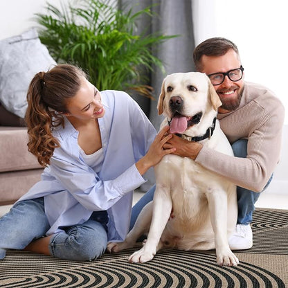 Lahome Modern Rainbow Easy Jute 6x9 Rug, Large Living Room Carpet Washable - Image 6