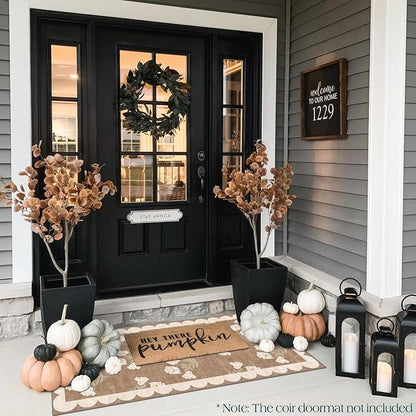 Front Door Mat Indoor Entrance - Image 4