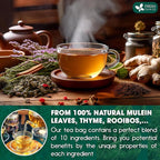 FreshDrinkUS, StrongerLungs 75 Tea Bags - Mullein Leaf, Ginseng, Elderberry, Ginger & Thyme - Supports Lung Cleanse, Congestion Relief & Mucus Detox - Caffeine-Free & All-Natural
