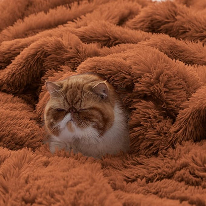 Bedsure GentleSoft Fluffy Burnt Orange Throw Blanket Fall Decorations - Image 2