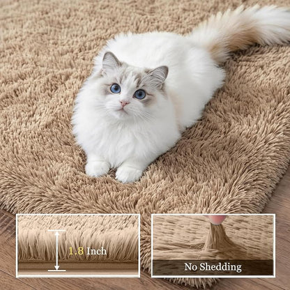Area Rug Living Room Bedroom: 6x9 Fluffy Plush Shag Carpet Beige | - Image 5
