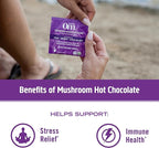 OM MUSHROOM SUPERFOOD Hot Chocolate Blend – Dutch Cocoa with Lion’s Mane, Reishi, Chaga & Turkey Tail – Supports Focus, Calm & Stress Relief – 2g Sugar, 25 Calories – 8.47 oz Canister (30 Servings)