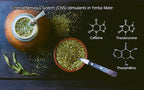 Yerba Mate Tea 1LB (16Oz) HI-CAFFEINE 100% CERTIFIED Organic SUPER-GREEN Yerba Mate | NO Dust | FRESH - NEVER Aged (Ilex Paraguariensis) | Brazilian Rain Forest Grown from U.S. Wellness Naturals