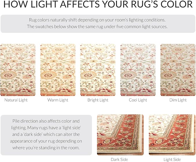 SAFAVIEH Area Rug 10x14 - Image 6
