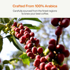 SATURNBIRD Coffee Instant Cold Brew - Medium, Dark Roast Variety Pack, 3 Roast Levels (NO.4-6), 100% Arabica, Enjoy Cold/Hot, 24 Single Serves Perfect for Iced Coffee