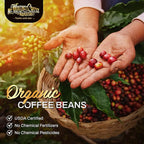 Mt. Whitney Guatemala Adiesto Cooperative Organic Low Acid Coffee (Ground, 5 lb)