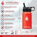 HYDRO CELL Stainless Steel Insulated Water Bottle with Straw - For Cold & Hot Drinks - Metal Vacuum Flask with Screw Cap and Modern Leakproof Sport Thermos for Adults (Mandarin 14oz)