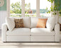 LINSY HOME Modern 2-Seater Sofa, Customizable Living Room Furniture by LINSYHOME