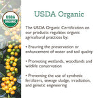 Fresh Roasted Coffee, Organic Peru | Mold & Myco 3rd Party Tested, USDA Organic, Kosher | Med Roast 2 lb (32 oz) Whole Bean