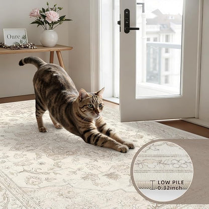 5x7 Area Rugs Living Room: Bedroom Washable Carpet Beige White | Vintage Boho - Image 7