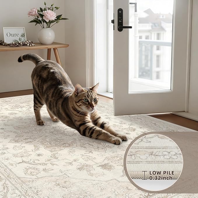 4x6 Area Rugs Living Room: Bedroom Washable Carpet Beige White | Vintage Boho - Image 7