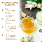 Indochine Blends, Ginger Tea Bags, 50 Teabags, 2g/bag, Individually Wrapped Envelopes, Caffeine-free, No Sugar, Healthy Belly Herbal Tea Supports Digestion & Boosts the Immune System