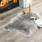 MIULEE Fluffy Area Rug 2x3 ft Faux Fur Sheepskin Rug by MIULEE