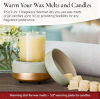 CANDLE WARMERS ETC 2-in-1 Candle and Fragrance Warmer for Warming Scented Candles or Wax Melts and Tarts with to Freshen Room, Midas