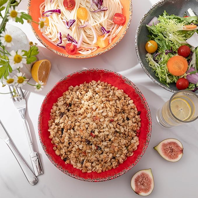 Farmhouse Melamine Pasta Bowls Set of 6, 42 OZ Large Serving Bowls Set, 9.25 inch Ramen Bowls,Wide and Shadow Rustic Red Round Dinner Bowl, Fruit bowl, Noodle Bowl, Salad Bowl Set, Red…