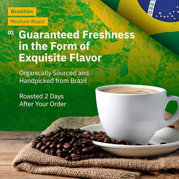Brazilian Santos Medium Roast Coffee Beans - Single Origin Arabica Coffee Beans, Freshly Roasted to Order, Whole Bean Coffee Low Acid with Smooth Cocoa Notes, Specialty Grade and Fair Trade - 5LB