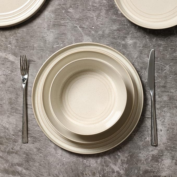 Stone Lain Claire 4-Piece Dinner Plate Set Stoneware, Plates, Dishwasher and Microwave Safe, Dish Set for 4, White