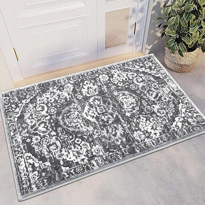 HEBE Indoor Door Mat 2'x3', Washable Welcome Mat by HEBE