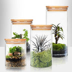 Glass Food Storage Containers Jars with Airtight Bamboo Lid 20 oz 9 pcs, 590 ml Pantry Organization Jar, Glass Terrarium with Lid, Spice, Flour and Sugar Container, Canister Set for Kitchen Counter